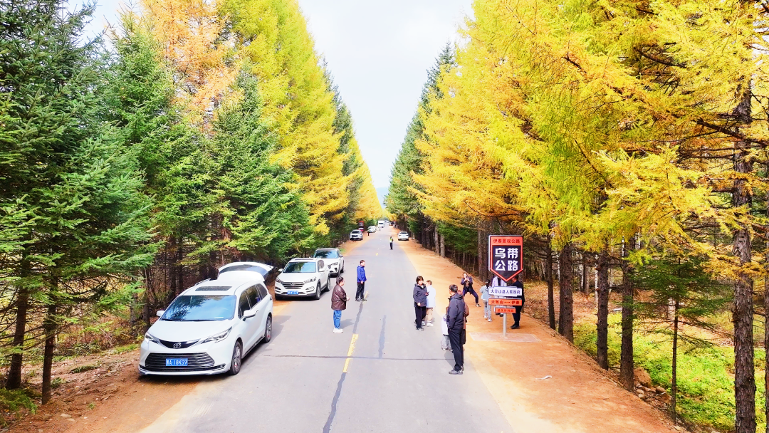 “十一”黄金周乌带公路“火爆出圈”大箐山县以生态文旅激活县域经济高质量发展