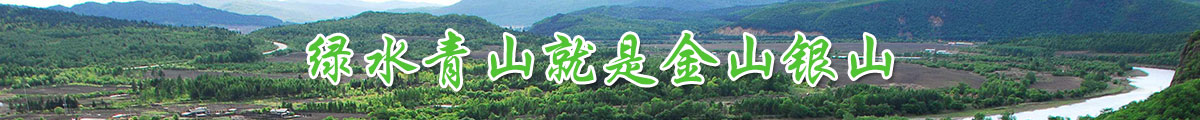 绿水青山就是金山银山