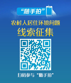 随手拍