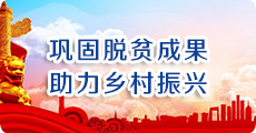 巩固脱贫成果 助力乡村振兴