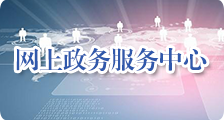 网上政务服务中心