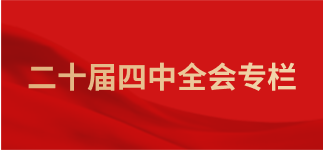 二十届四中全会专栏